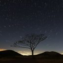 與音樂大師共舞