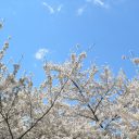 神用「水皮人」寫歌